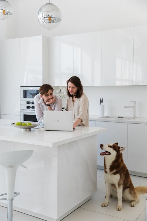 Couple with Dog Looking at Laptop