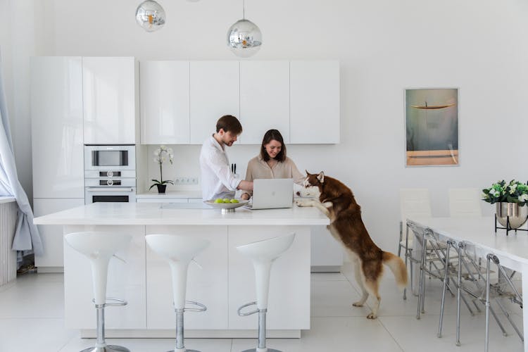 Couple With Dog In Kitchen