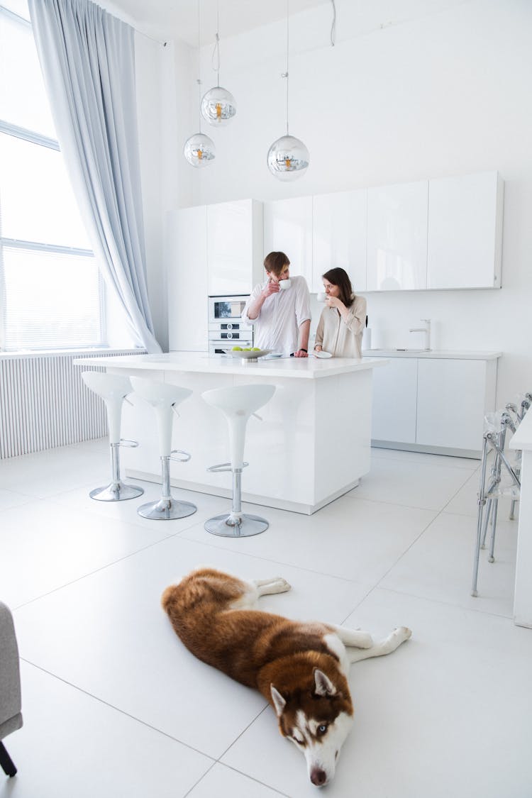 Couple With Dog Lying Down In Kitchen