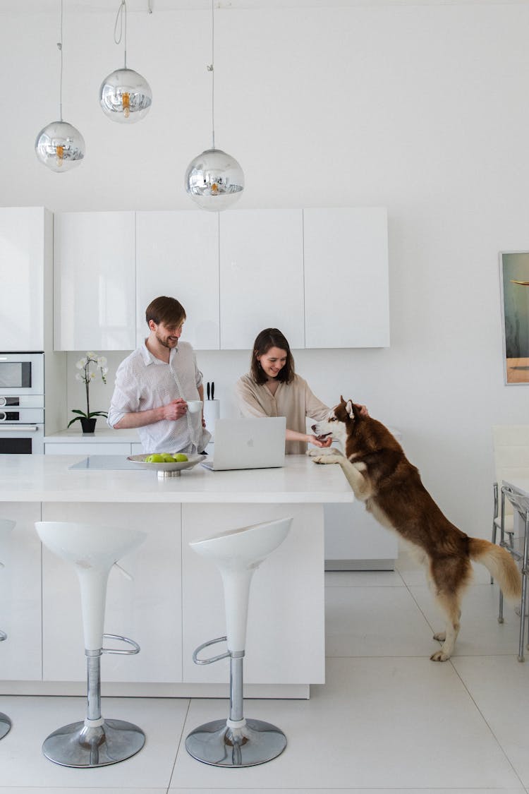 Couple With Dog In Kitchen