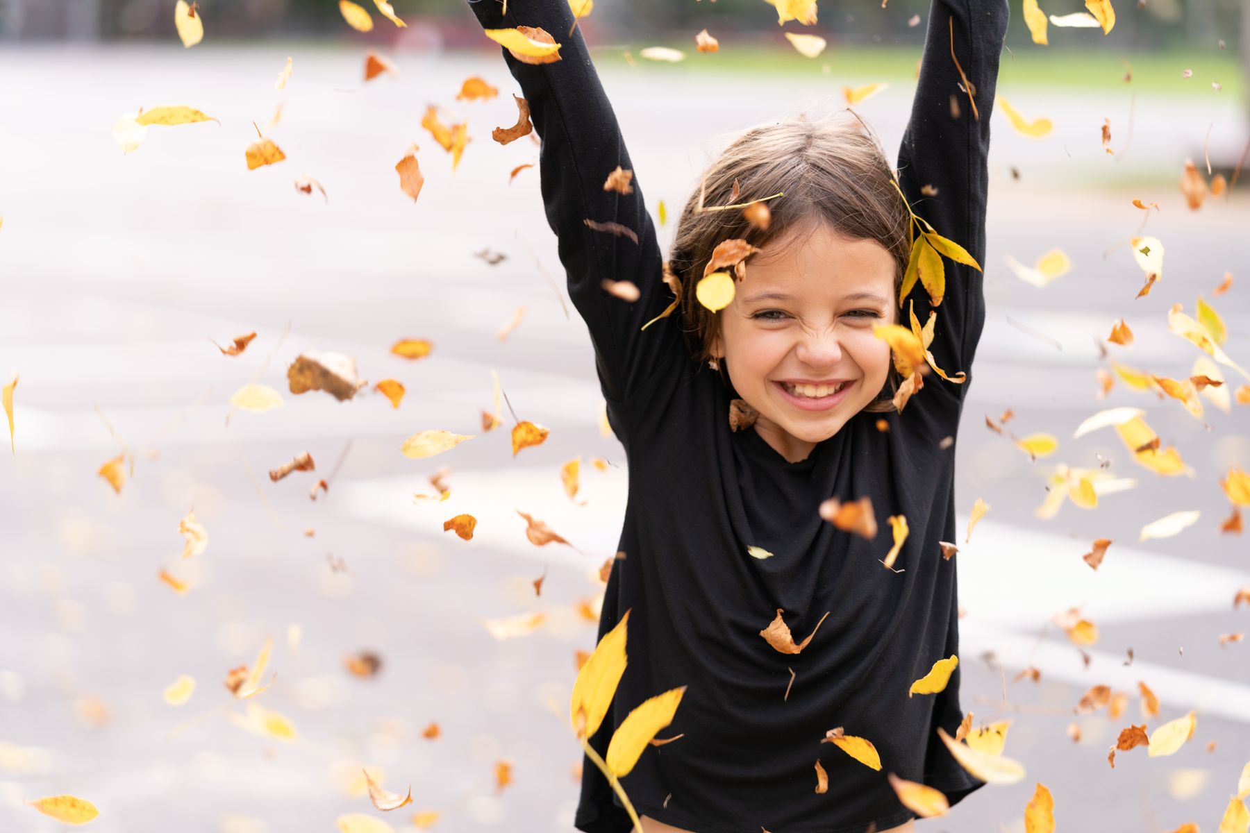 September 2026 in Albany with Kids: A Three-Day Fall Foliage Plan