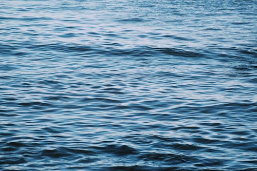 Základová fotografie zdarma na téma água do mar