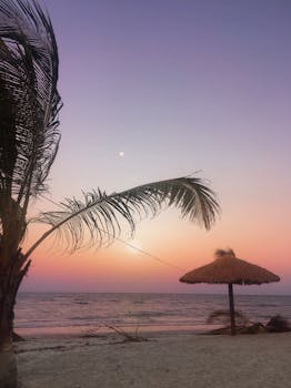 Tranquil sunset on a Brazilian beach with palm trees and a straw umbrella, perfect for relaxation.