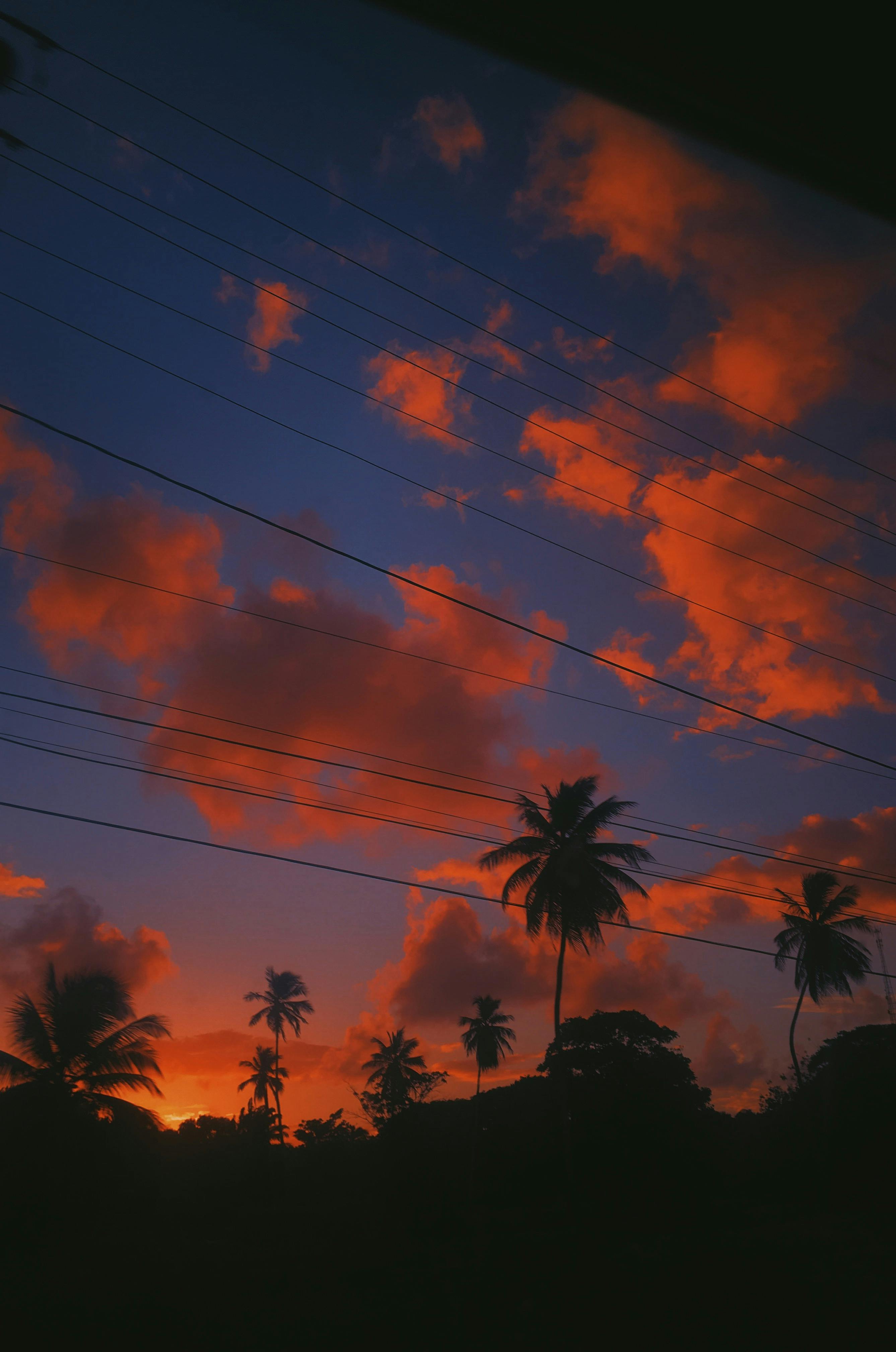 A mesmerizing sunset with vivid clouds and palm tree silhouettes against a vibrant sky.