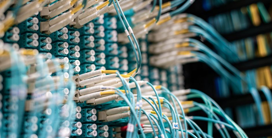 Network cables connected to a server rack — rats in the ceiling void chew cabling and cause outages