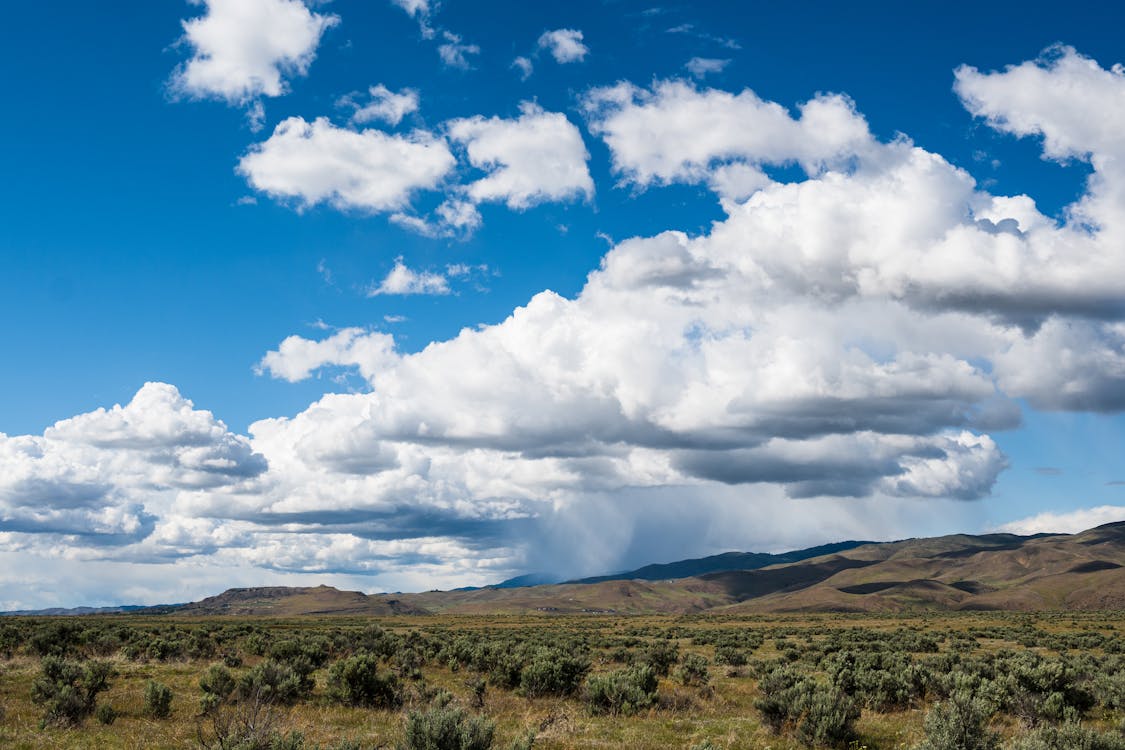 Photo of Grassland Under White Clouds and Blue Sky
