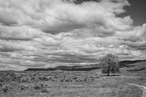 Grayscale Photo of Grassland Under Cloudy Sky