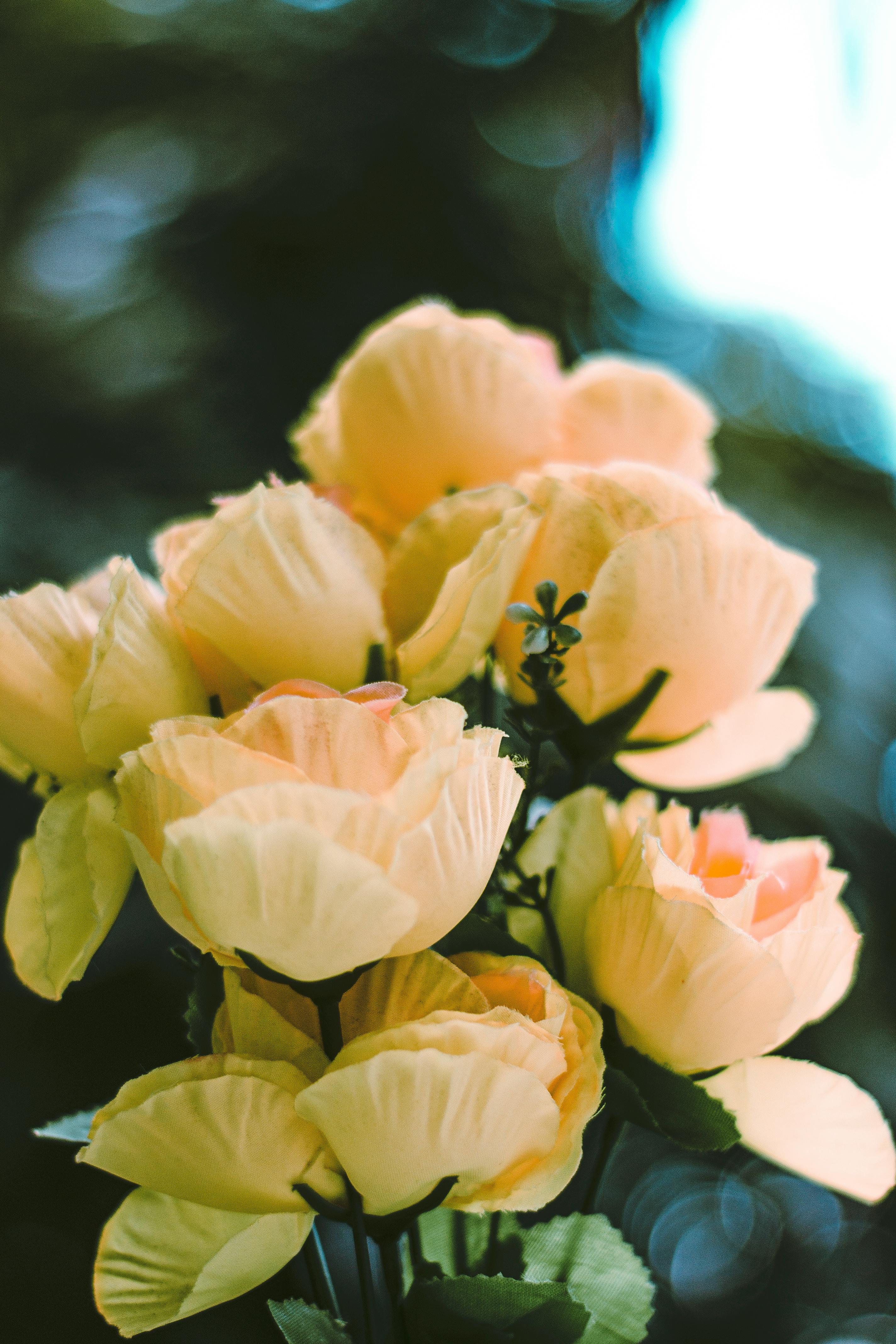 [ColoSach]-close-up-of-delicate-yellow-artificial-flowers-with-soft,-dreamy-lighting.