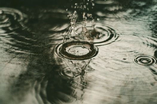 Water Drop on Body of Water