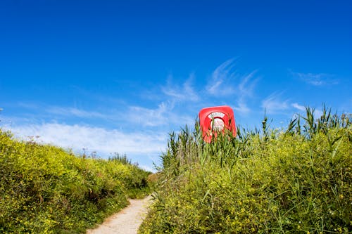 康沃尔海岸, 康沃爾, 彩色背景 的 免费素材图片