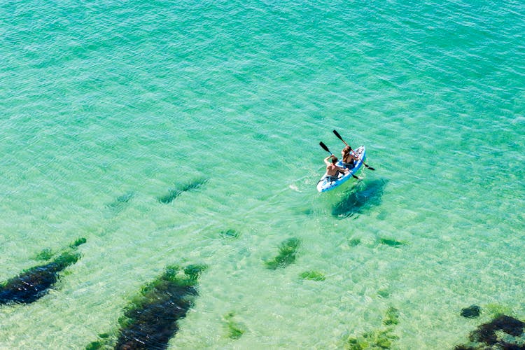 Couple Kayaking On The Ocean
