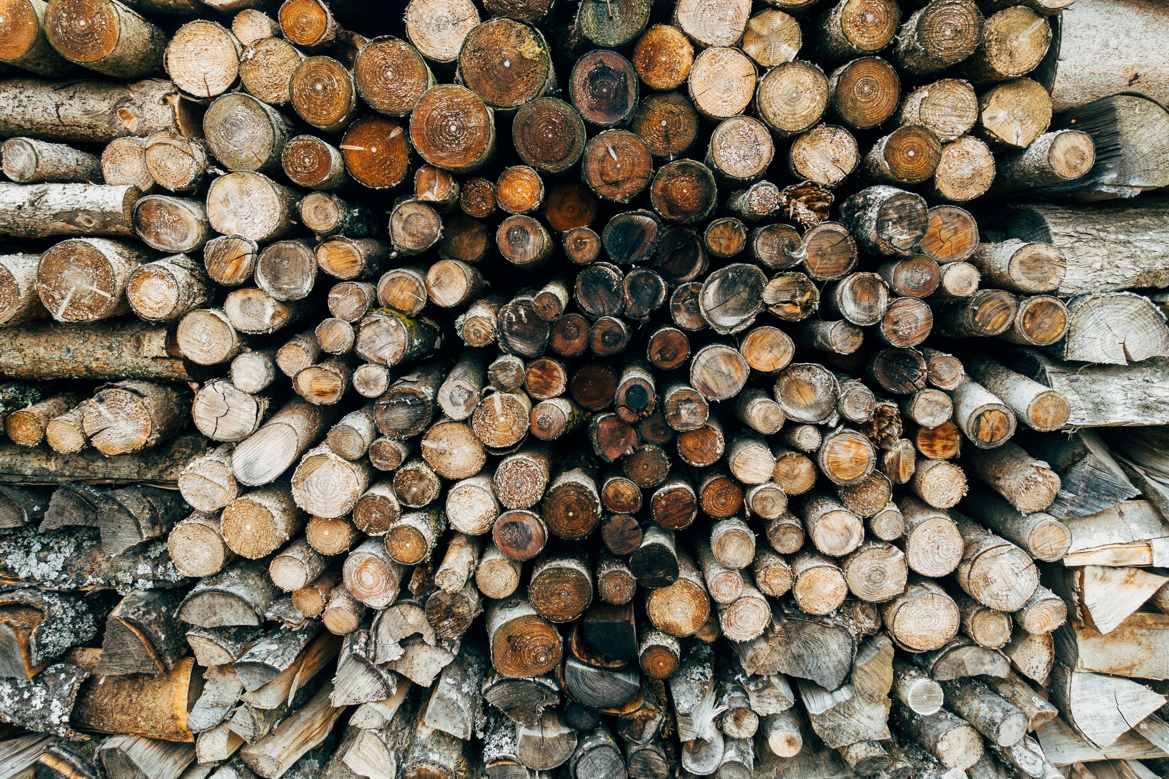 10+ Best Sawmill Photos · 100 Free Download · Pexels Stock Photos