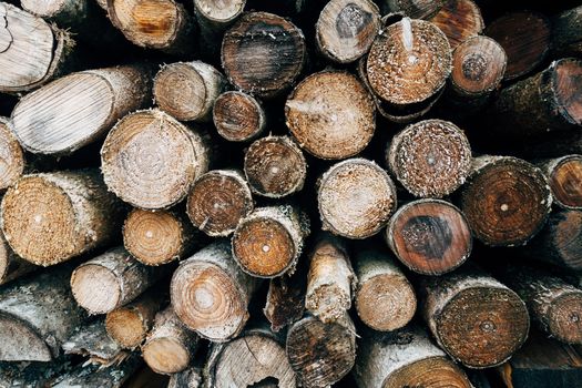 Best Eco-Friendly Materials for a Sustainable Home Upgrade