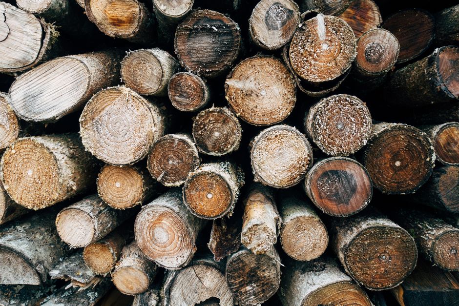 Best Eco-Friendly Materials for a Sustainable Home Upgrade