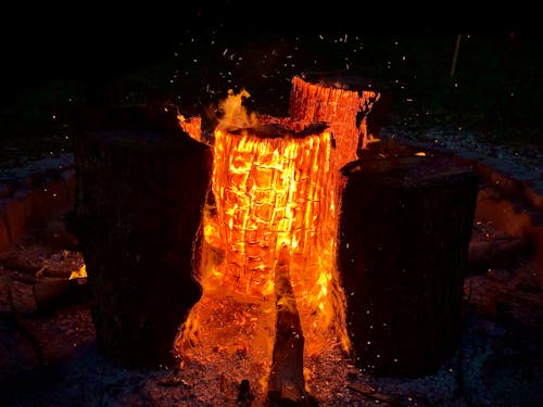 Free stock photo of bonfire, burning wood, camp fire