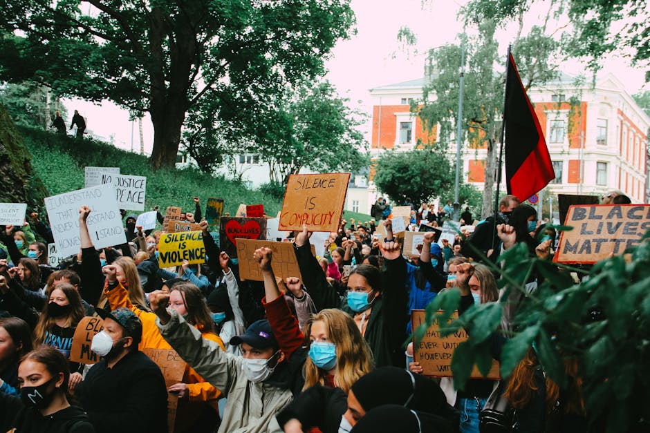 Impact of Street Violence on Protest Movements