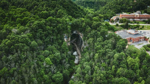 Road in mountain tunnel surrounded by greenery forest and houses
