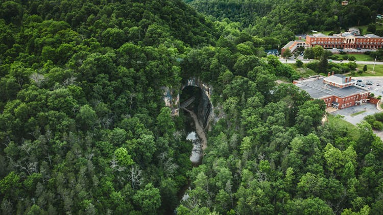 Road In Mountain Tunnel Surrounded By Greenery Forest And Houses