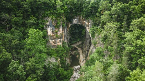 Aerial view of narrow road between mount with bright green trees in summer