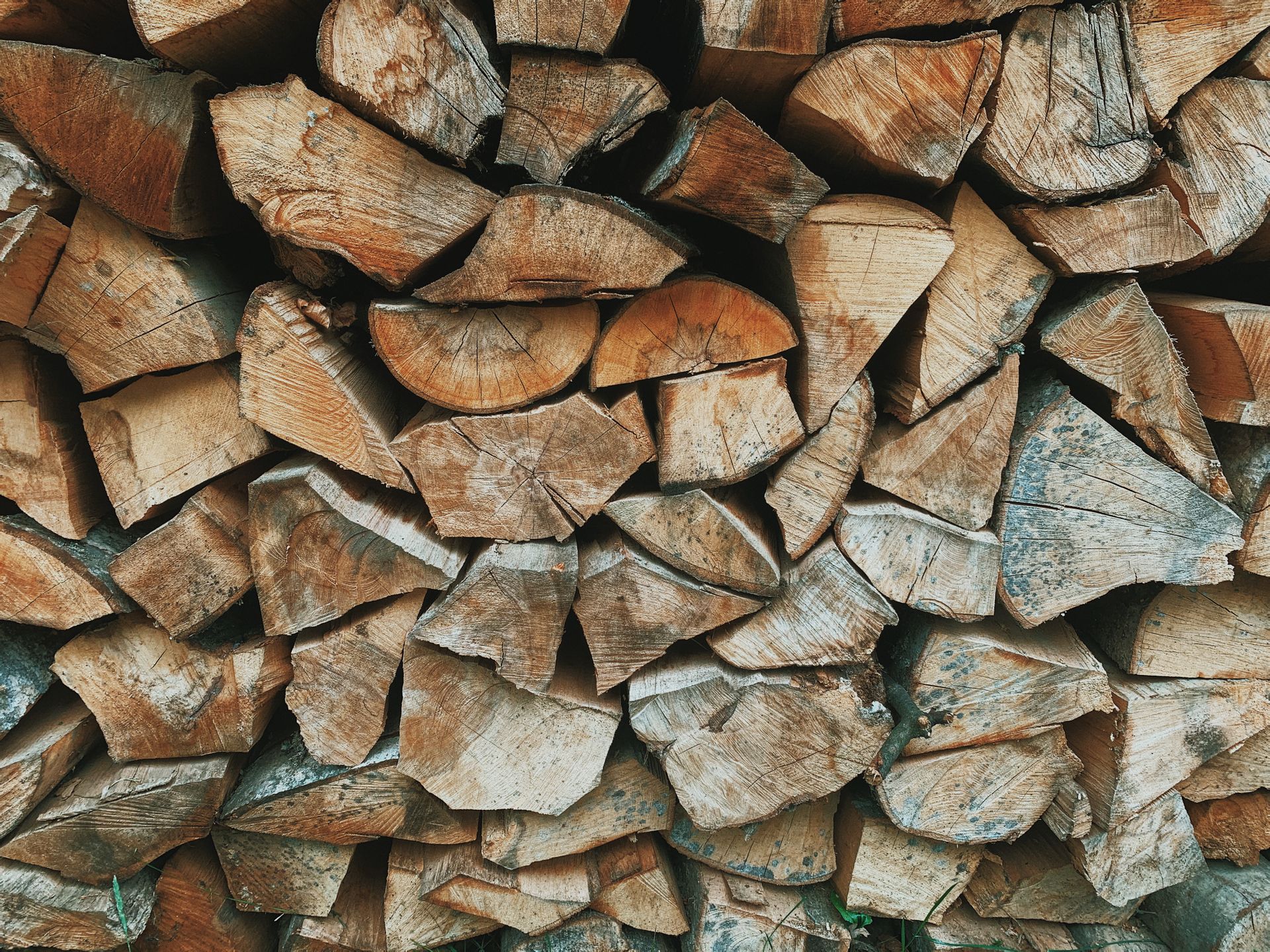 Stack of wood logs on backyard