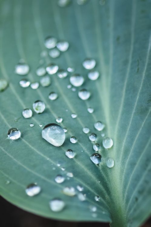 100+ Best Humidity Photos · 100% Free Download · Pexels Stock Photos