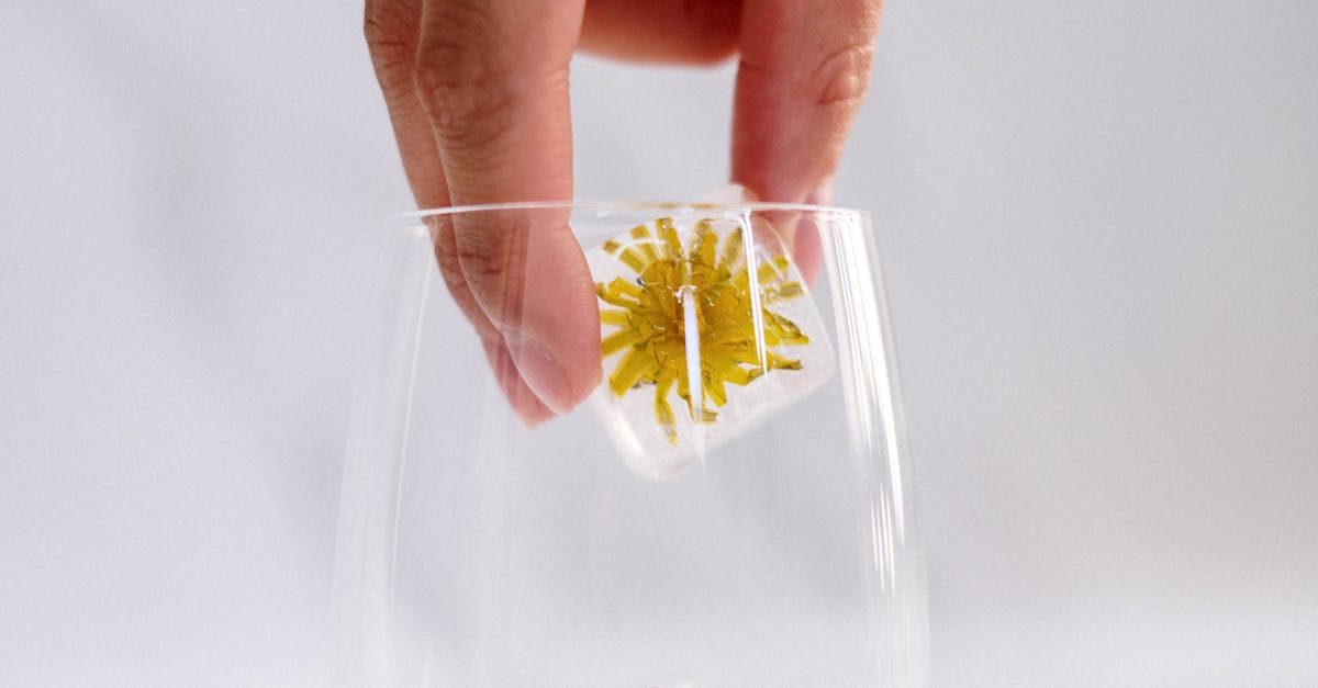 How to prepare edamame frozen