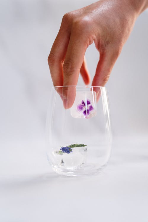 Free Person Holding Clear Glass Cup With Green Plant Stock Photo