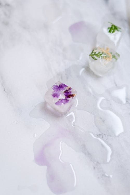 Free White and Purple Flower Petals Stock Photo