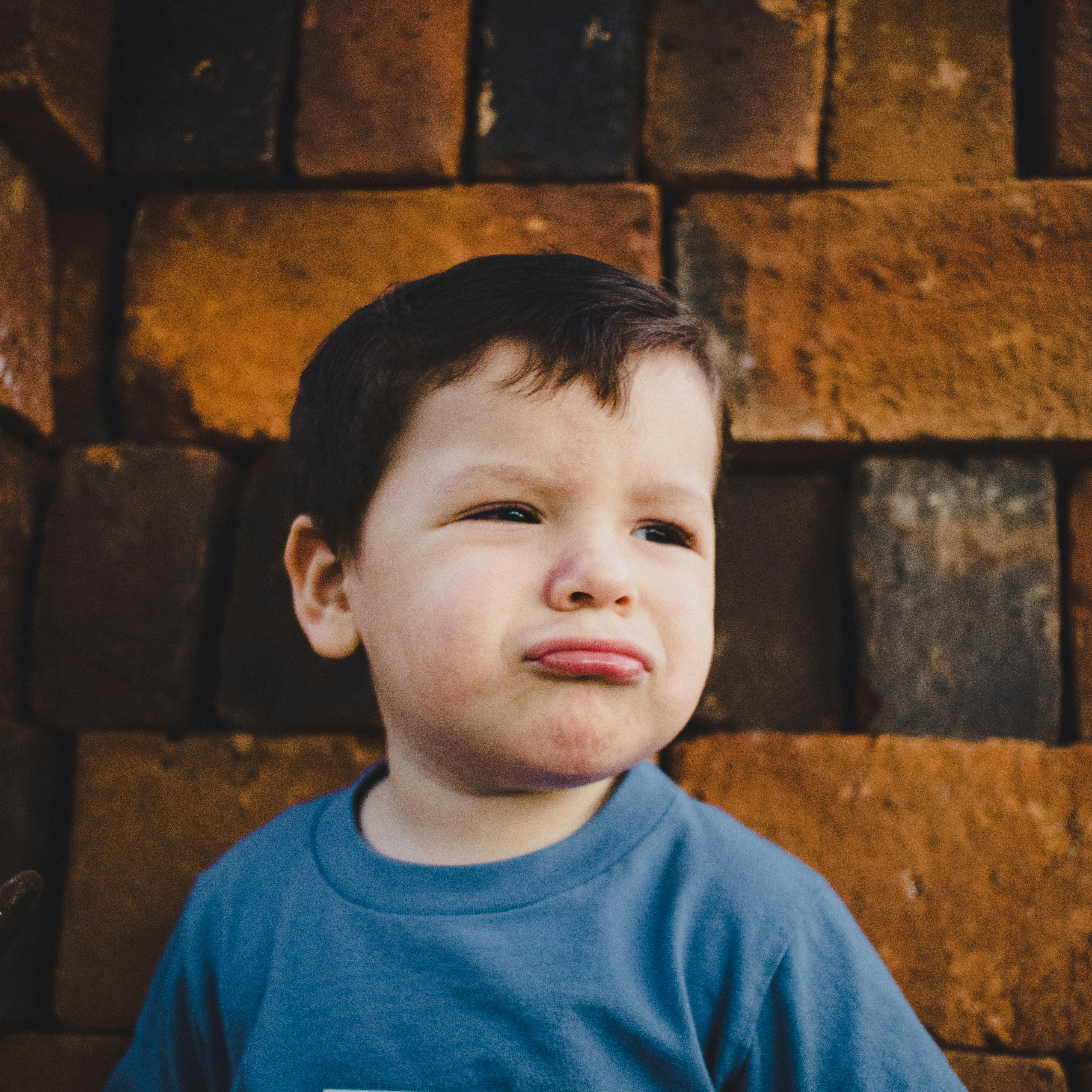 Gratis Immagine gratuita di adorabile, ambiente, avvicinamento Foto a disposizione