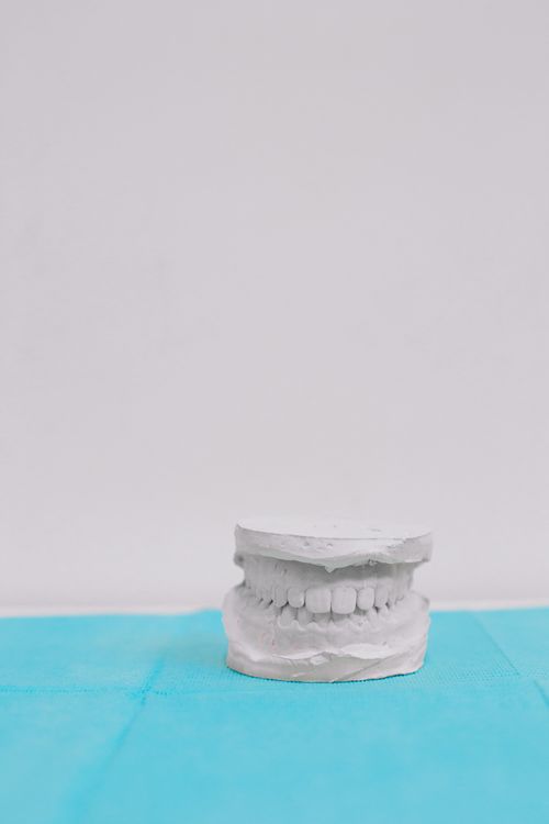 Free Close-up of a dental plaster model showcasing teeth detail on a blue surface. Stock Photo