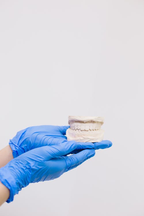 Hands Holding Artificial Teeth