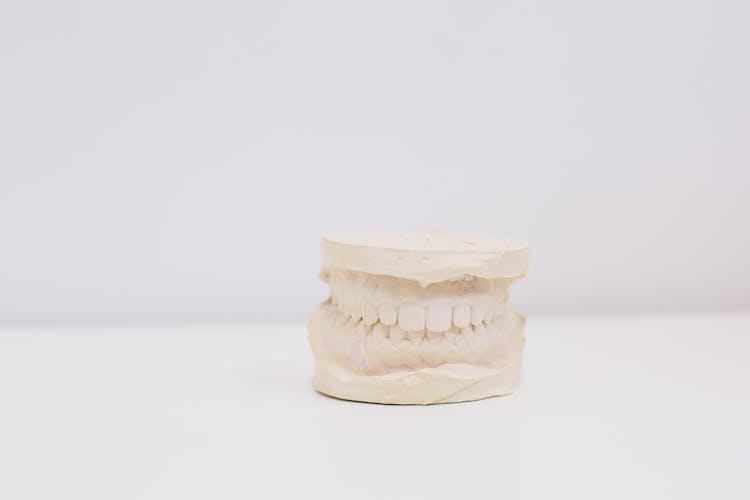 Close Up Of Artificial Teeth