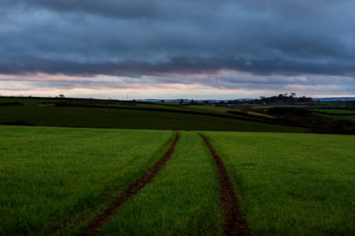 Základová fotografie zdarma na téma cornish venkov, Cornwall, mraky