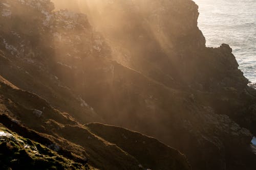 Immagine gratuita di luce sullo sfondo, madre natura, nebbioso