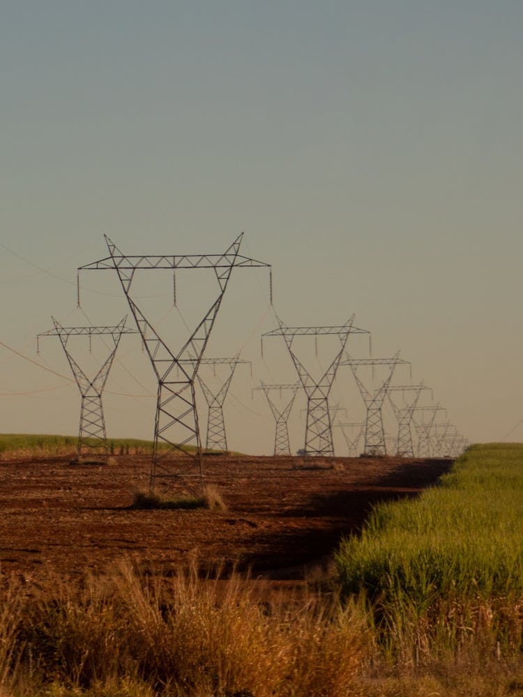 Electricity Poles In Field In Countryside