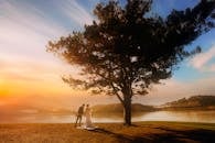 越南大叻，日落时分，一对夫妇在树旁共享浪漫时刻