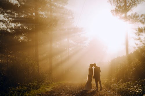Back view of anonymous bride and groom holding hands while standing in woods near trees against bright sun beams in nature