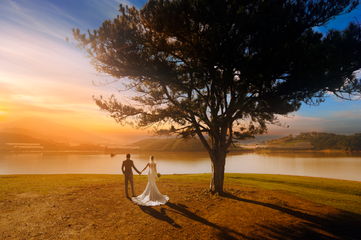 Back view of unrecognizable newlywed couple holding hands while standing on embankment near tall tree during sundown time in nature