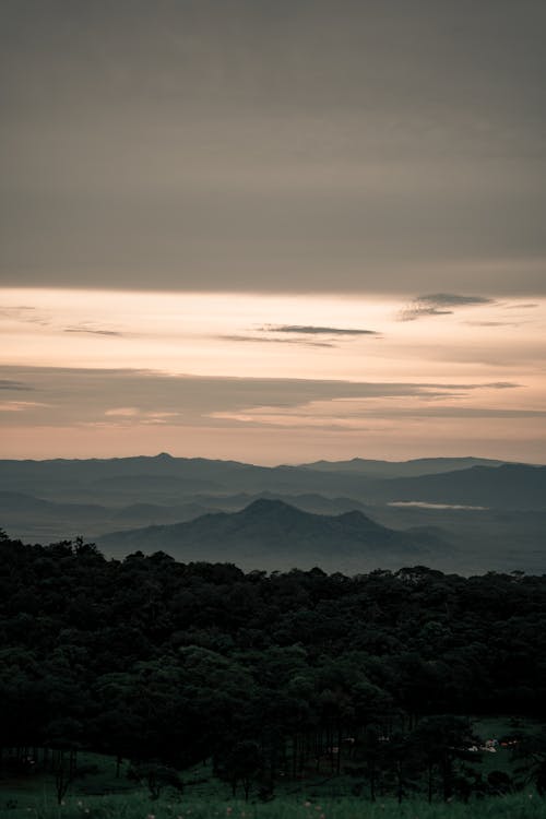 산, 새벽, 수직 쐈어의 무료 스톡 사진