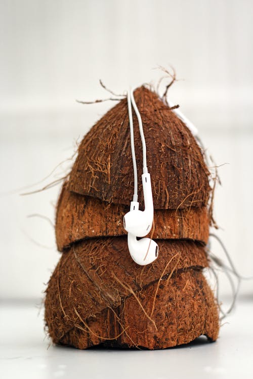 Gratis stockfoto met detailopname, earphones, kokosnoot schelpen Stockfoto