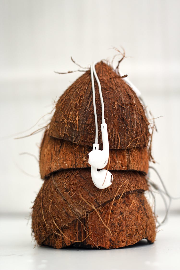 White Earphones On Coconut Shells