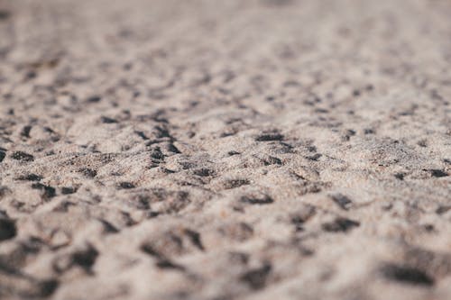 Free stock photo of background, bokeh, close-up