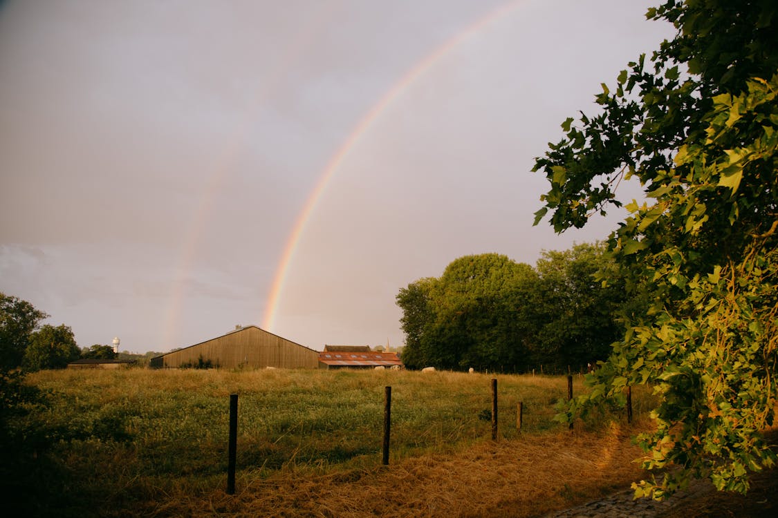 Rainbow over rural house and green plants