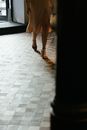 Person in White Pants and Brown Shoes Standing on White Ceramic Floor Tiles
