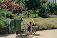 在一个美丽的花园里，户外推车与工具被布置起来，展示着绿色植物和充满活力的花朵