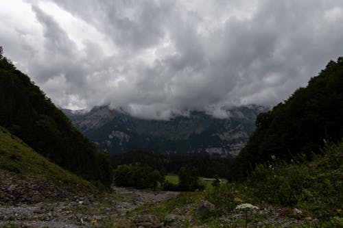 Бесплатное стоковое фото с schweiz, schweizer alpen, берге