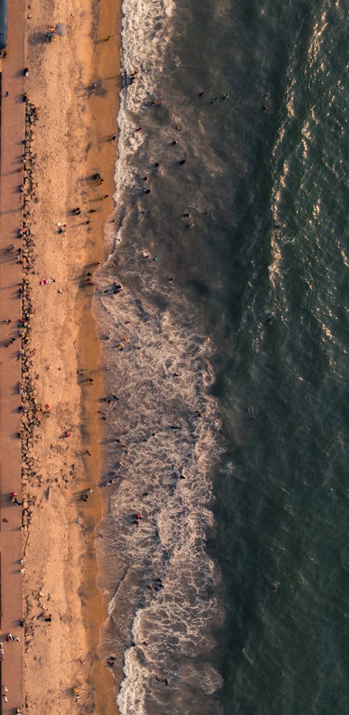 Bird's Eye View of People on the Beach With a Rocky Shore