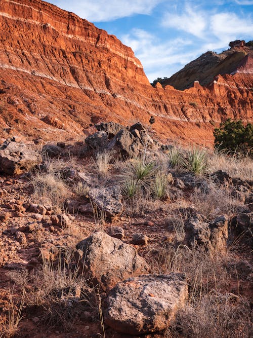 Kostenloses Stock Foto zu berg, canyon, draußen