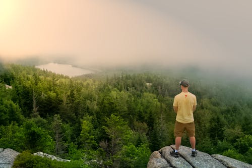 Traveler enjoying view of green forest in cloudy day