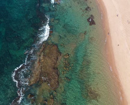 A stunning aerial shot of clear waters and sandy beaches in Salvador, Brazil. Perfect for travel and nature enthusiasts.